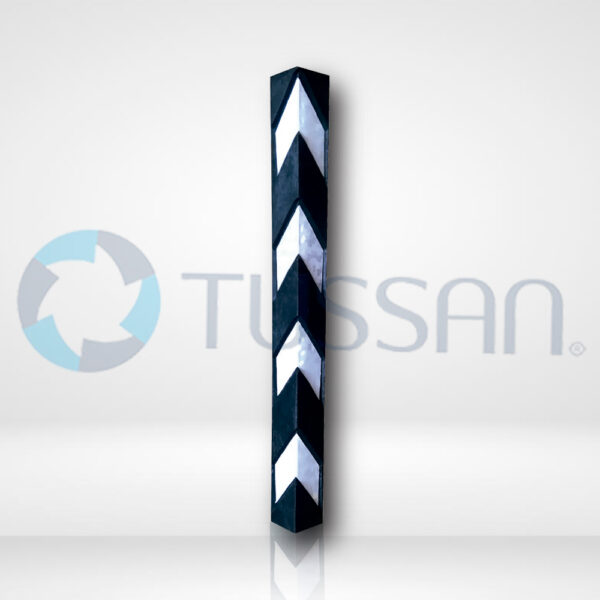Protector de columna
